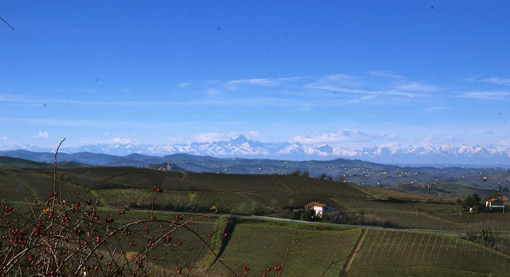 Profumi... Vinchio